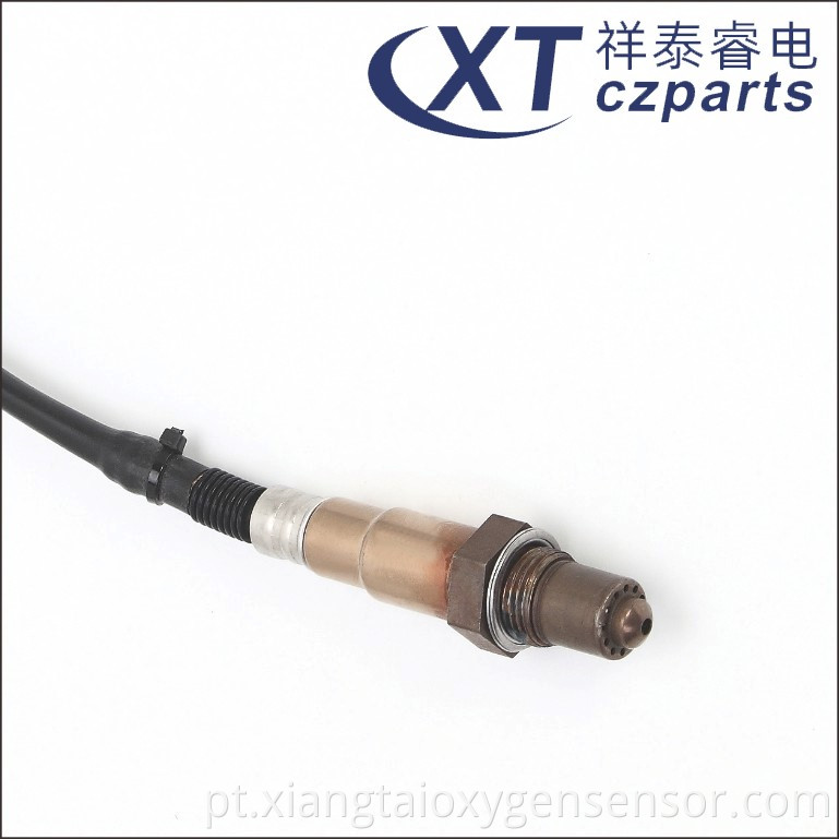 Oxygen Sensor